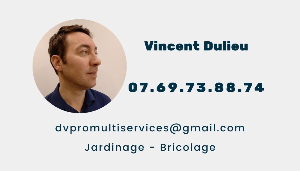 DV PRO MULTISERVICES — Photos 1